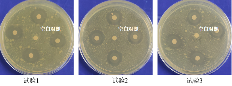 祛痘產(chǎn)品,祛痘功效測定,化妝品,監(jiān)督