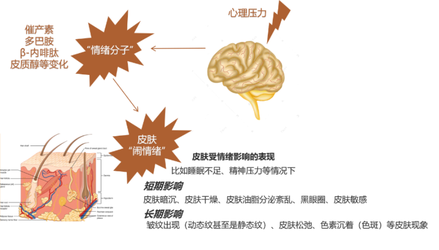 化妝品,評價,皮膚情緒,護膚
