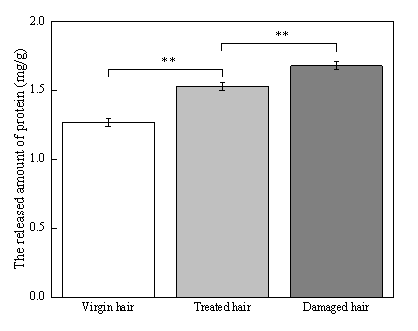 體外真發,頭發熱損傷,模型研究,CIRS,功效評價,技術實踐