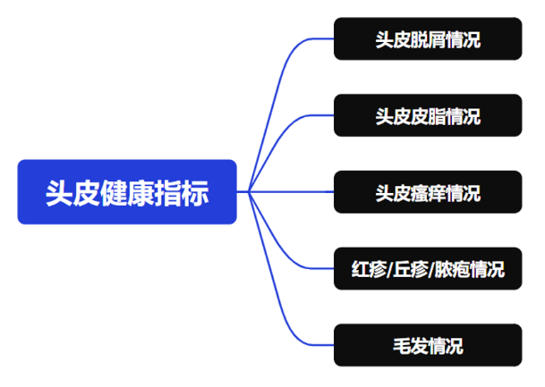 頭皮健康,紅斑,,丘疹,膿皰,評價方法