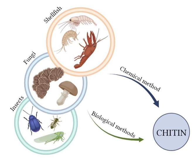 化妝品,乳液,殼聚糖,生物技術,膠原蛋白,透明質酸