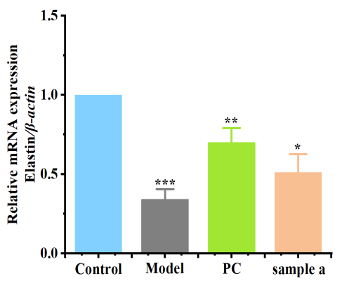體外細胞培養,模型,化妝品抗衰,功效評價