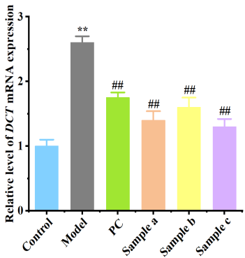 體外細(xì)胞,培養(yǎng),模型,祛斑,美白,功效評(píng)估
