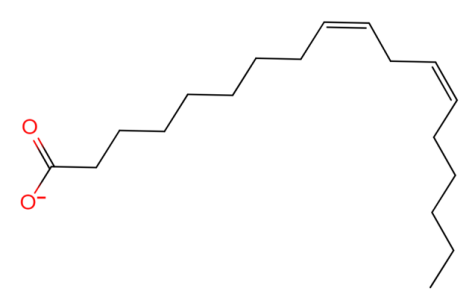 美白,功效原料,信號通路,黑素轉移,百里香醌