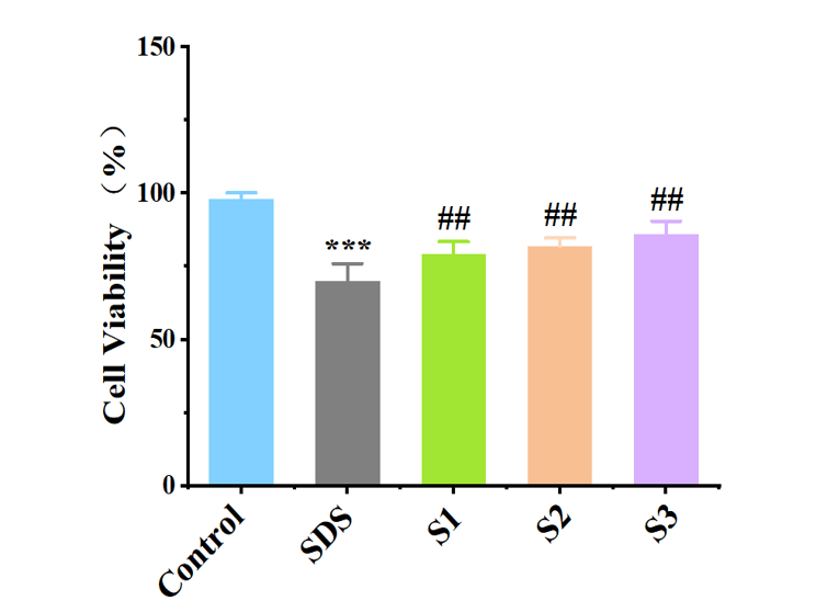 敏感肌,護(hù)理類產(chǎn)品,保濕,修護(hù),舒緩,功效,體外評價