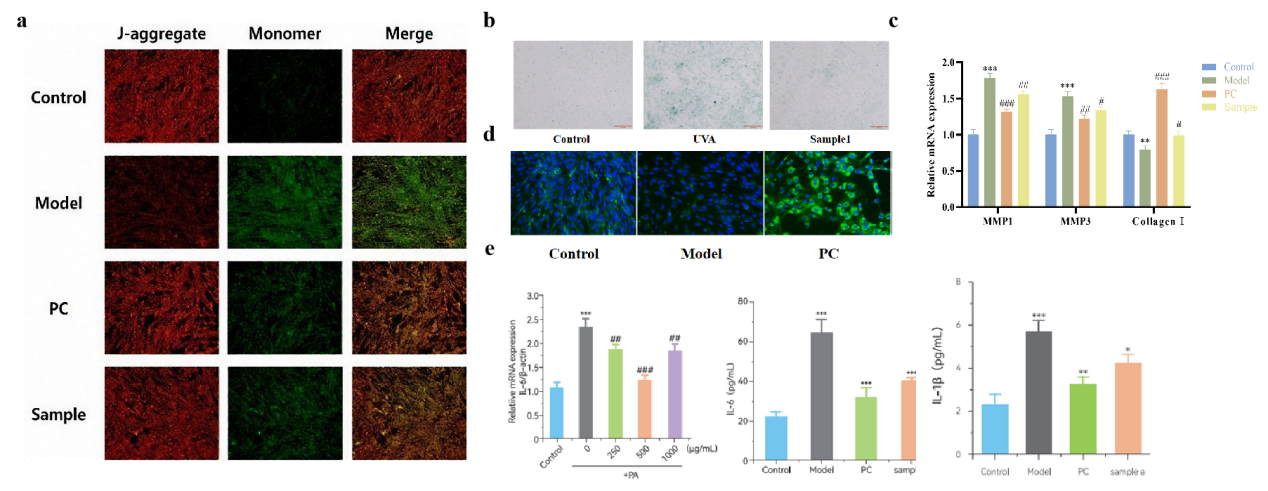 抗炎,PDRN,再生醫(yī)學(xué),護(hù)膚前沿,皮膚微生態(tài),安全性評(píng)估