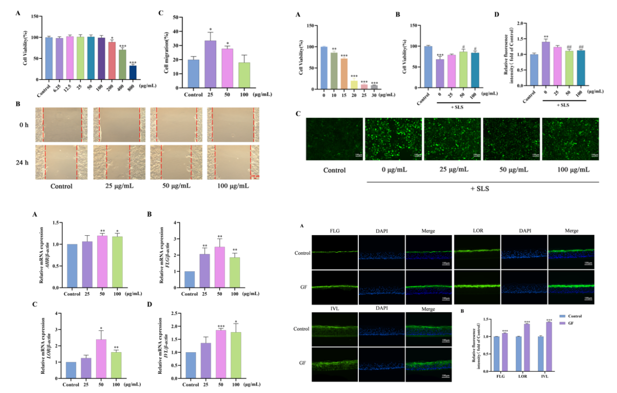 SCI期刊,科新生物,君裕集團,梔子提取物,增強,表皮屏障機制
